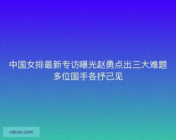 中国女排最新专访曝光赵勇点出三大难题多位国手各抒己见